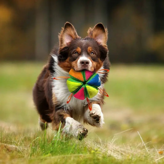 Wedge Ball Dog Toy Straps Easy Grip Tug of War Fetch Medium Large Dogs Tear-Resistant Mesh Interactive Play Treat Hiding Pet Toy