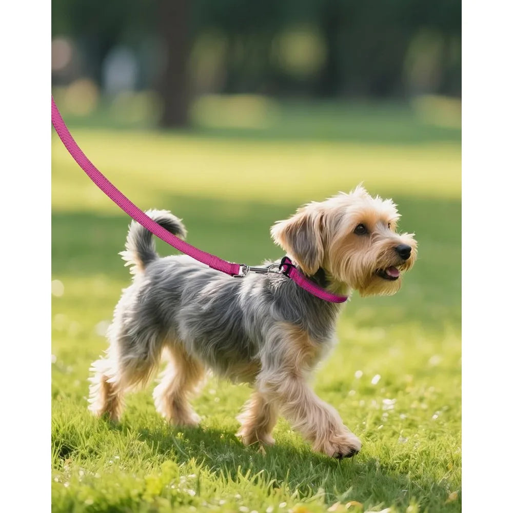 Small Dog Collar, Reflective and Adjustable Nylon Collar with Quick-Release Buckle, Lightweight No-Choke Design for Small Dogs,
