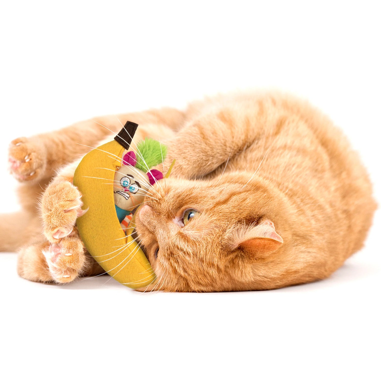 Cat Toys