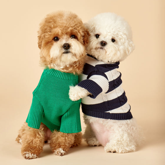 Pet Grooming