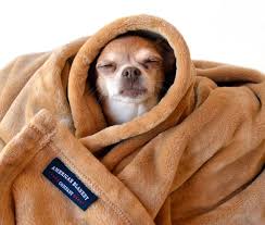 Pet Blankets
