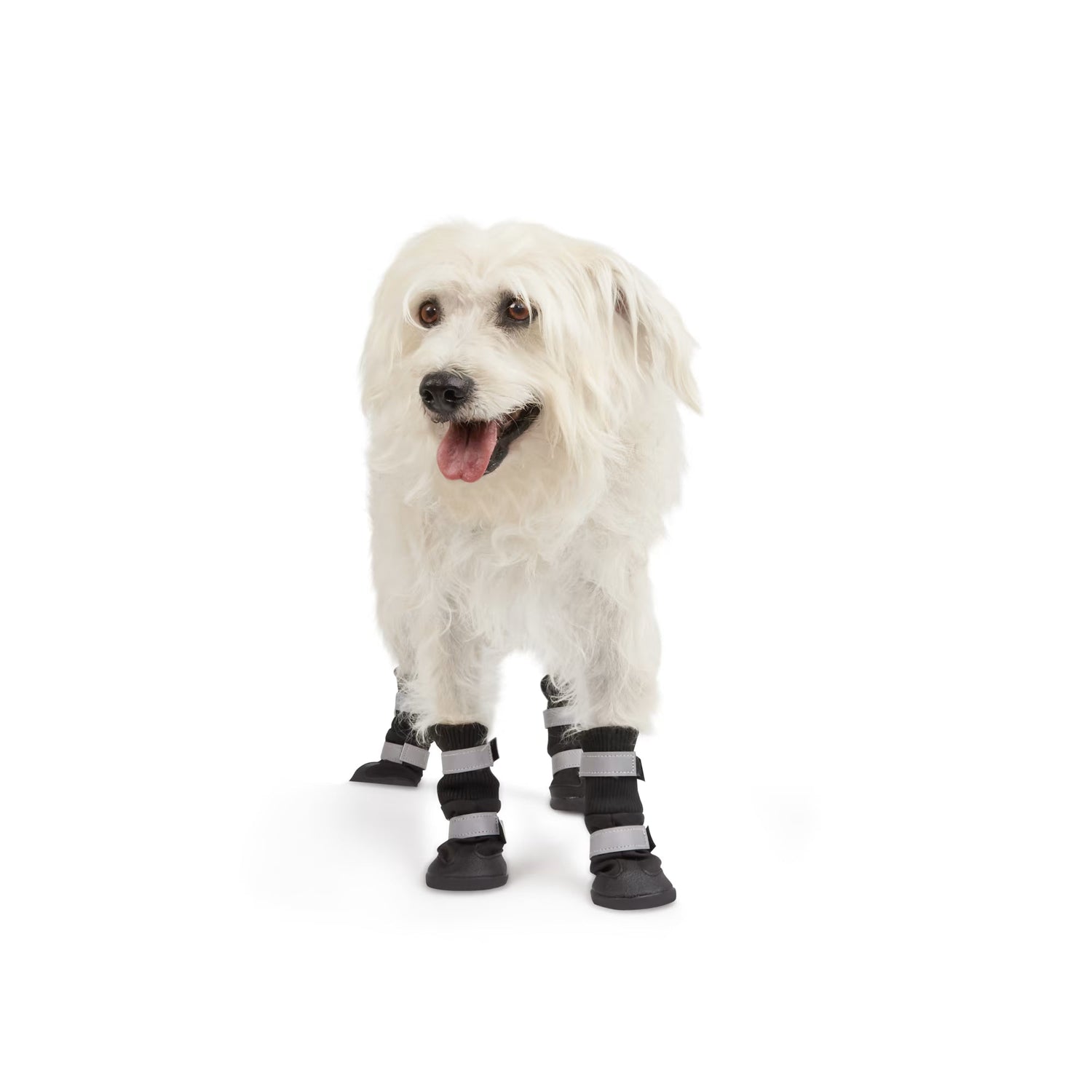 Pet Boots