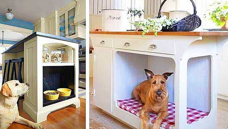 Pet Homes