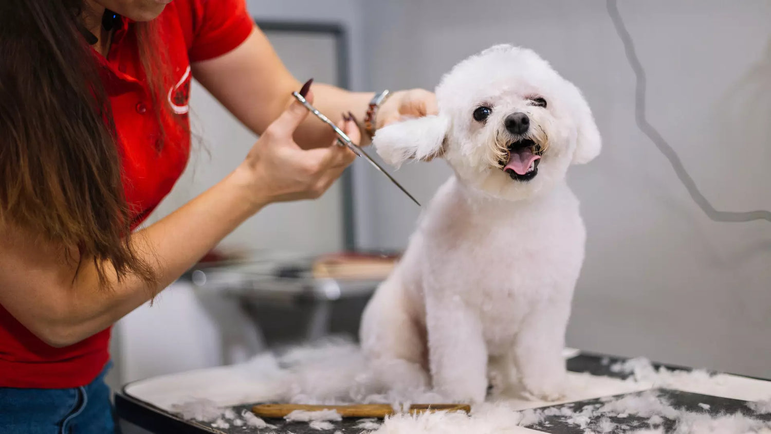 Pet Grooming