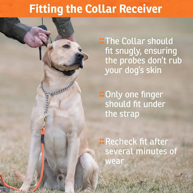 Dog Training Static Collar with Remote, 1/2 Mile Range Waterproof Dog E-Collar, Submersible up to 25 Ft