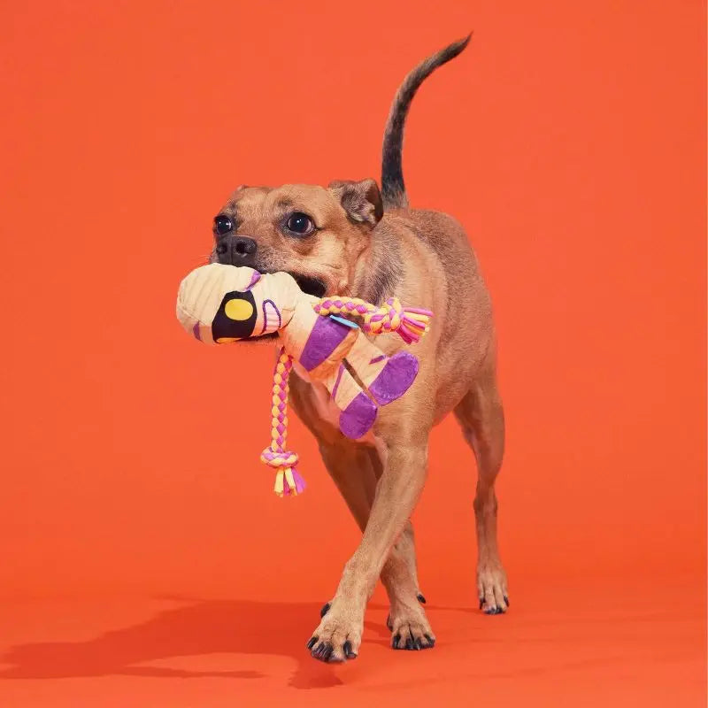 Halloween Dog Toy Mummy Plush with Squeaker Crinkle Sound Tug Rope Whip Flip Legs Interactive Play Pet Chew Toy for Dogs