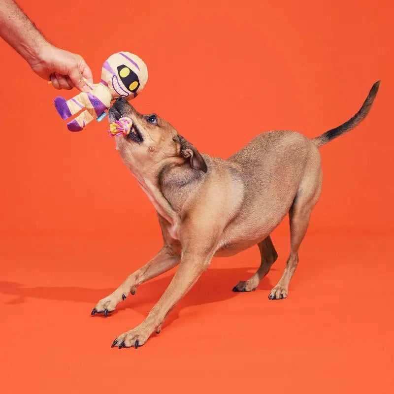 Halloween Dog Toy Mummy Plush with Squeaker Crinkle Sound Tug Rope Whip Flip Legs Interactive Play Pet Chew Toy for Dogs
