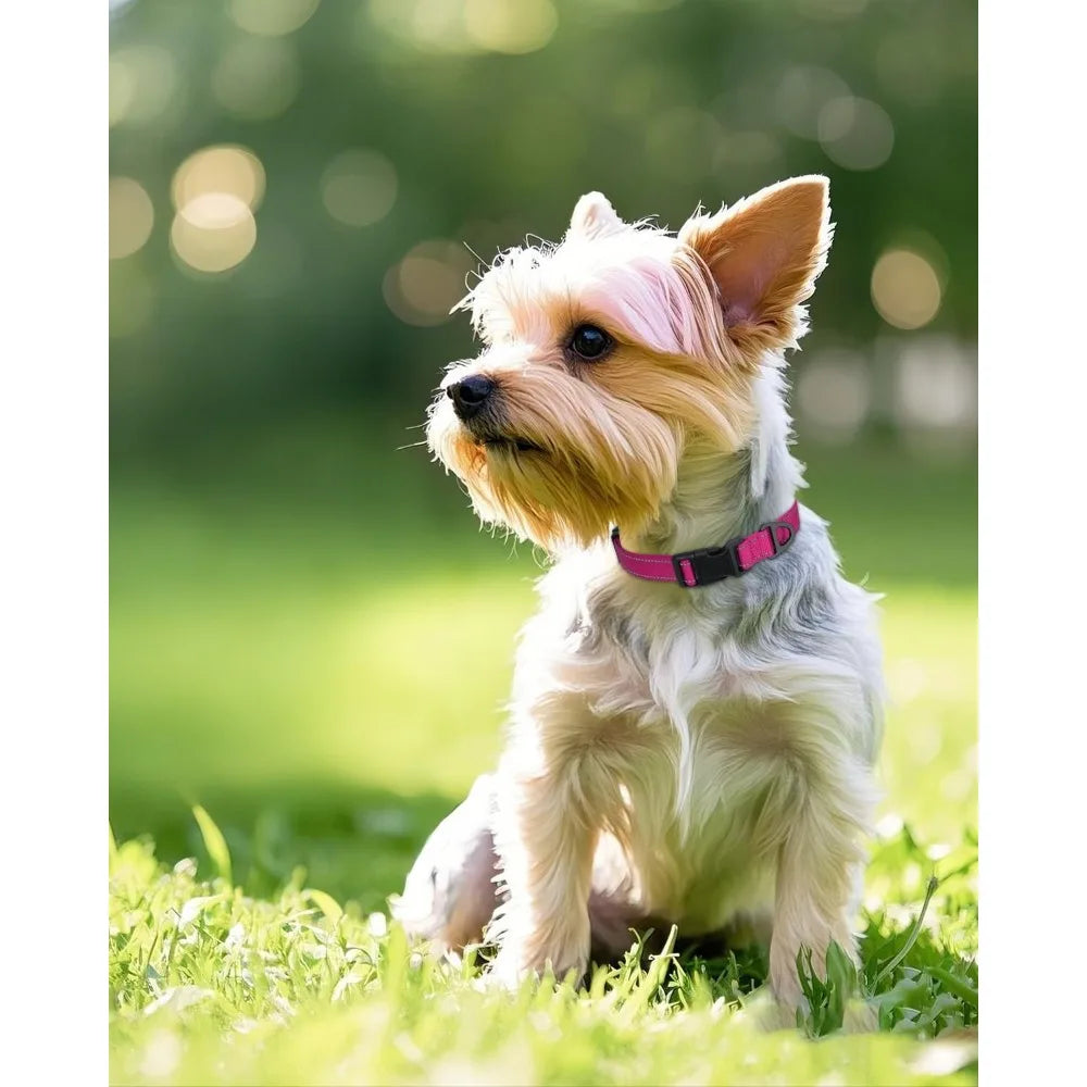 Small Dog Collar, Reflective and Adjustable Nylon Collar with Quick-Release Buckle, Lightweight No-Choke Design for Small Dogs,