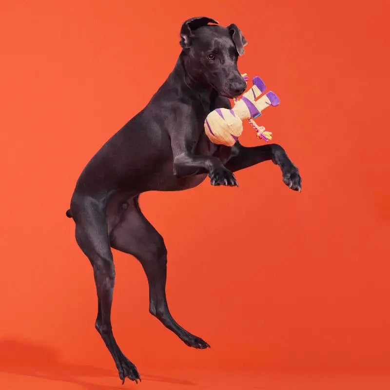 Halloween Dog Toy Mummy Plush with Squeaker Crinkle Sound Tug Rope Whip Flip Legs Interactive Play Pet Chew Toy for Dogs