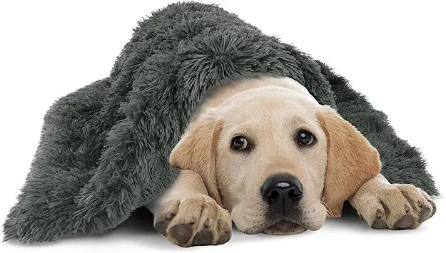 The Dog's Sound Sleep Donut Dog Snuggler, Large, Calming, Anti-Anxiety Blanket, Dark Grey