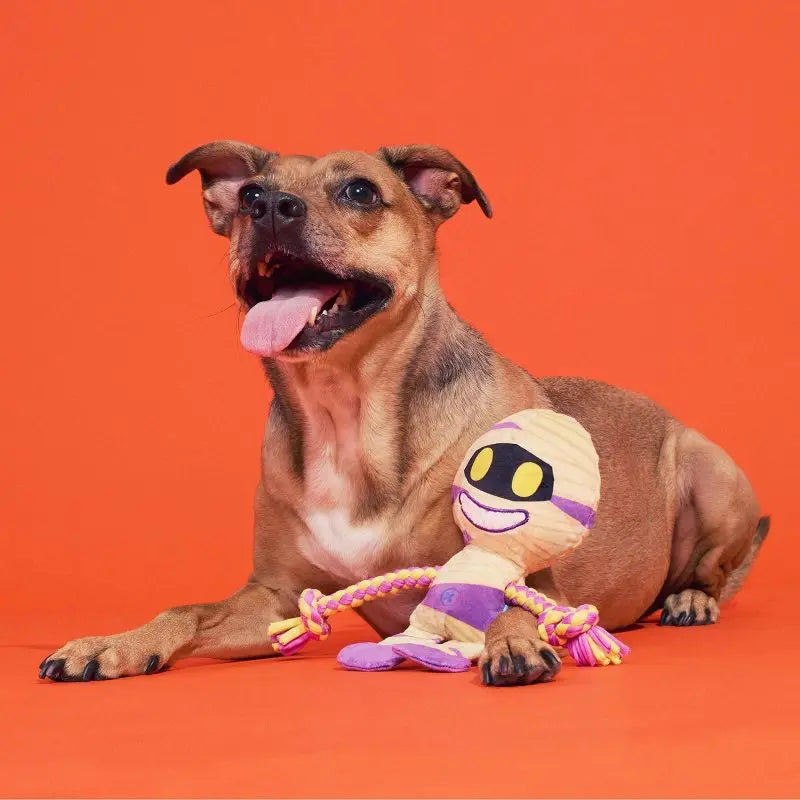 Halloween Dog Toy Mummy Plush with Squeaker Crinkle Sound Tug Rope Whip Flip Legs Interactive Play Pet Chew Toy for Dogs